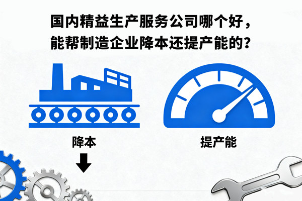 國內(nèi)精益生產(chǎn)服務(wù)公司哪個(gè)好，能幫制造企業(yè)降本還提產(chǎn)能的？