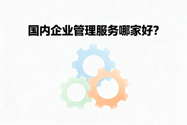 國內(nèi)企業(yè)管理服務(wù)哪家好？