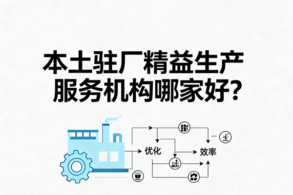 本土駐廠精益生產(chǎn)服務(wù)機構(gòu)哪家好？